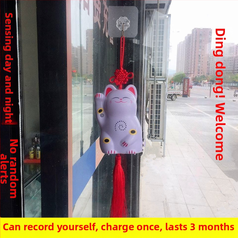 Indukčný zvon na dvere s IR poplachou a nahrávaním zvuku; model 024; dvojité napájanie (batéria a sieťové napájanie); napätie 4,5V; prispôsobiteľný zvonček