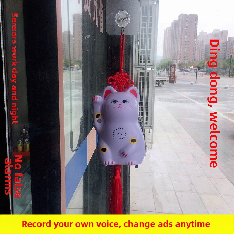 Indukčný zvon na dvere s IR poplachou a nahrávaním zvuku; model 024; dvojité napájanie (batéria a sieťové napájanie); napätie 4,5V; prispôsobiteľný zvonček