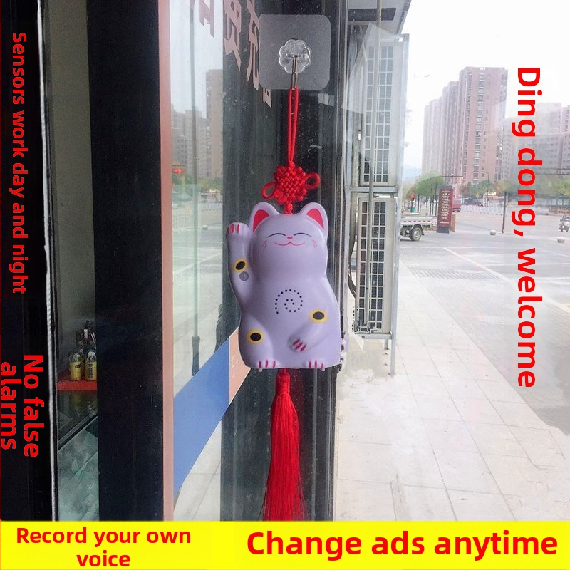 Indukčný zvon na dvere s IR poplachou a nahrávaním zvuku; model 024; dvojité napájanie (batéria a sieťové napájanie); napätie 4,5V; prispôsobiteľný zvonček