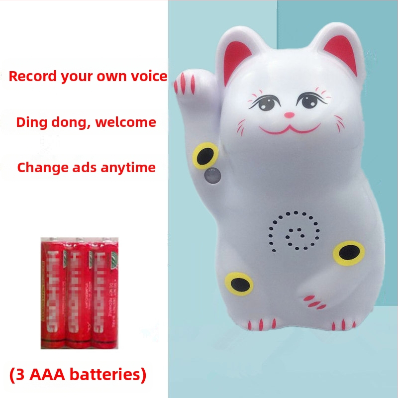 Indukčný zvon na dvere s IR poplachou a nahrávaním zvuku; model 024; dvojité napájanie (batéria a sieťové napájanie); napätie 4,5V; prispôsobiteľný zvonček