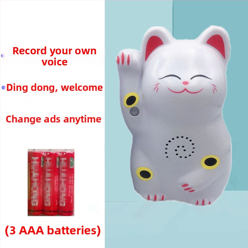 Indukčný zvon na dvere s IR poplachou a nahrávaním zvuku; model 024; dvojité napájanie (batéria a sieťové napájanie); napätie 4,5V; prispôsobiteľný zvonček