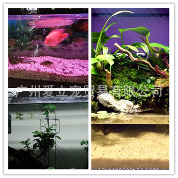 Wave Peak T5HO akváriumi növényvilágító lámpa, üveg burkolat, 24W/39W/54W, 10 kg