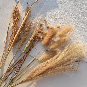 Set de recuzită pentru fotografie florală cu fundal în formă de coadă de iepure, ornamente decorative și buchete de flori uscate