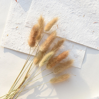 Set de recuzită pentru fotografie florală cu fundal în formă de coadă de iepure, ornamente decorative și buchete de flori uscate