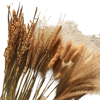 Set de recuzită pentru fotografie florală cu fundal în formă de coadă de iepure, ornamente decorative și buchete de flori uscate