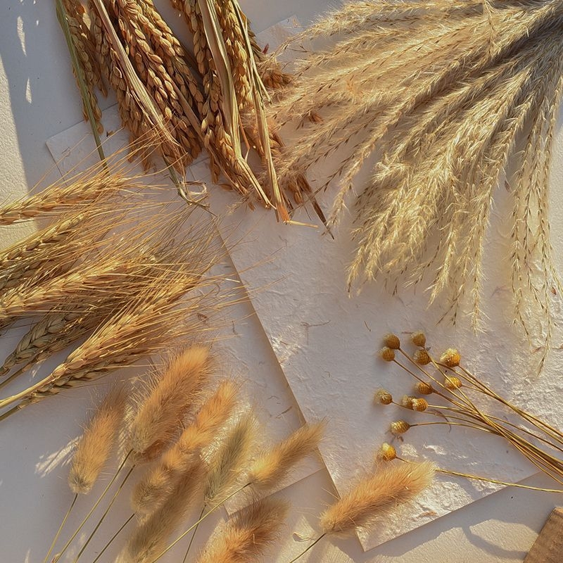 Set de recuzită pentru fotografie florală cu fundal în formă de coadă de iepure, ornamente decorative și buchete de flori uscate