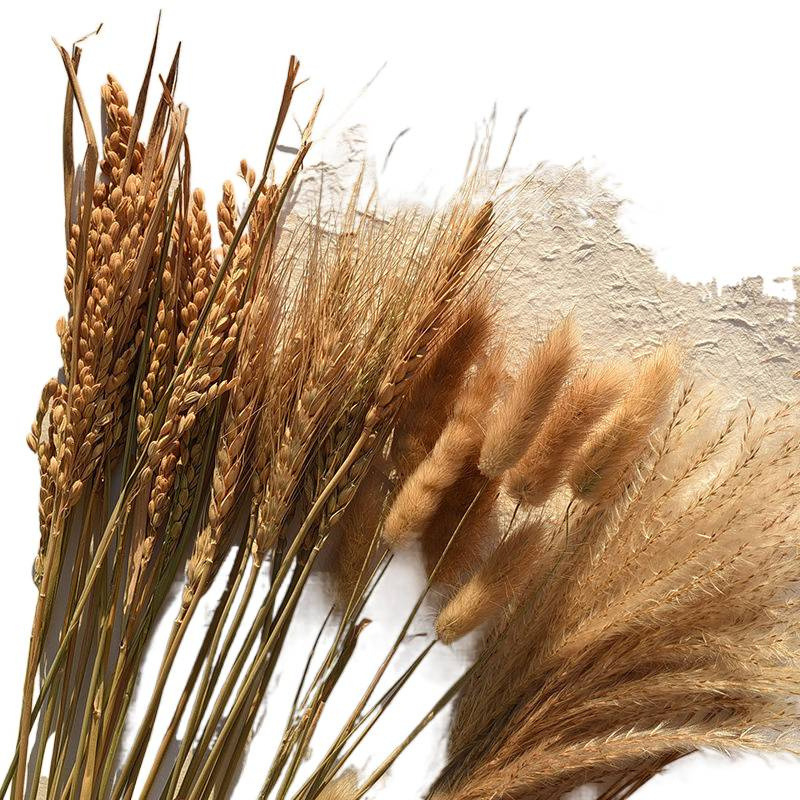 Set de recuzită pentru fotografie florală cu fundal în formă de coadă de iepure, ornamente decorative și buchete de flori uscate