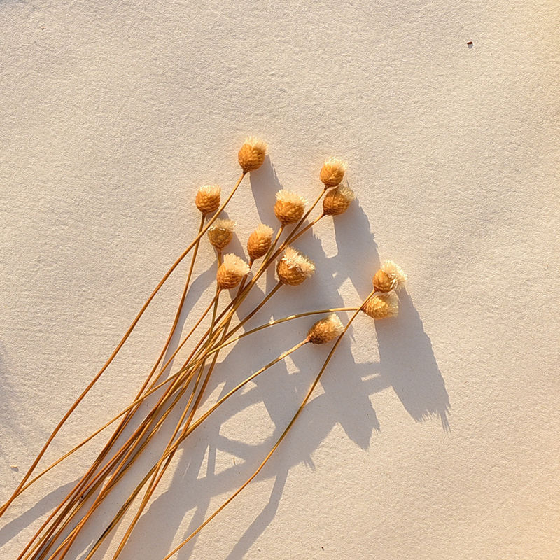 Set de recuzită pentru fotografie florală cu fundal în formă de coadă de iepure, ornamente decorative și buchete de flori uscate