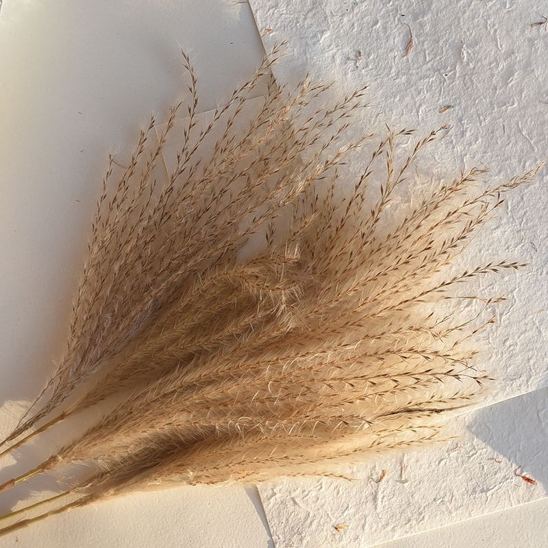 Set de recuzită pentru fotografie florală cu fundal în formă de coadă de iepure, ornamente decorative și buchete de flori uscate