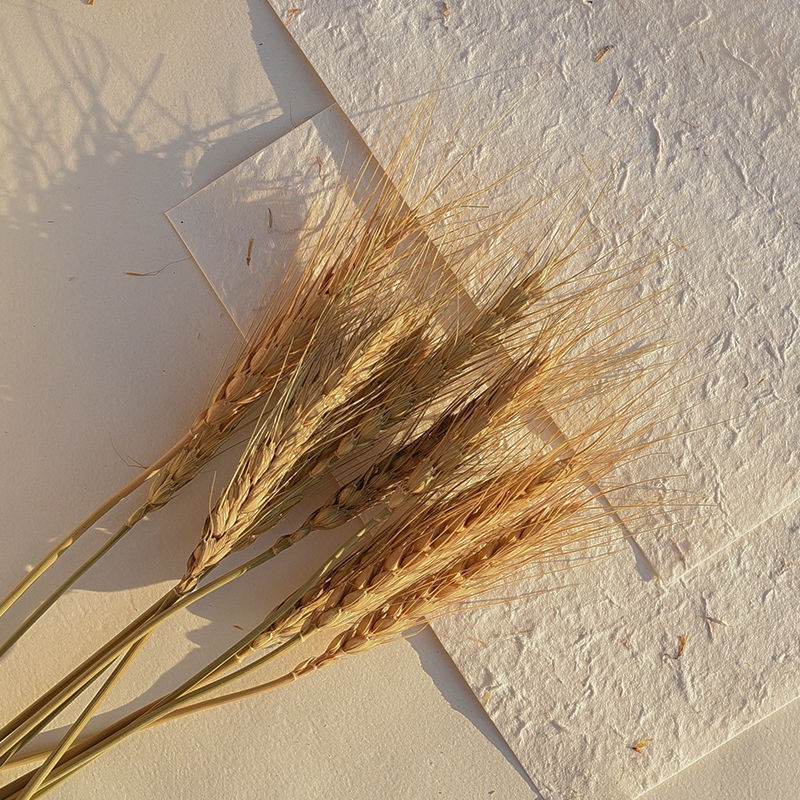 Set de recuzită pentru fotografie florală cu fundal în formă de coadă de iepure, ornamente decorative și buchete de flori uscate