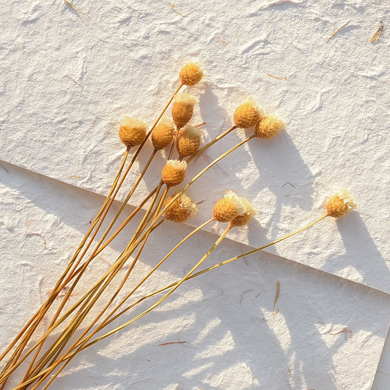 Set de recuzită pentru fotografie florală cu fundal în formă de coadă de iepure, ornamente decorative și buchete de flori uscate