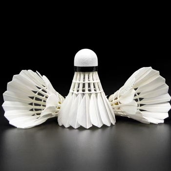 Baídun tollaslabda – goose feather; tartós érzet, stabil repülés; alkalmas tollaslabdához; magáncímkézés lehetősége; kategória: ütővonal; asztaliteniszhez és tollas tenishez