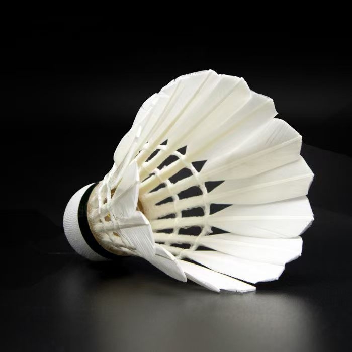 Baídun tollaslabda – goose feather; tartós érzet, stabil repülés; alkalmas tollaslabdához; magáncímkézés lehetősége; kategória: ütővonal; asztaliteniszhez és tollas tenishez