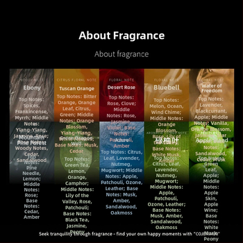 Automobilski difuzor od stakla – prilagođena obrada, isparavanje 61–90 dana, vijek trajanja 5 godina