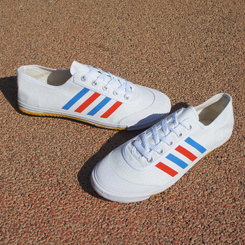 Παπούτσια εσωτερικού γυμναστηρίου, αντιολισθητικά, με κορδόνια εμπρός, σόλα από τένοντα βοείου, χαμηλό άνω μέρος