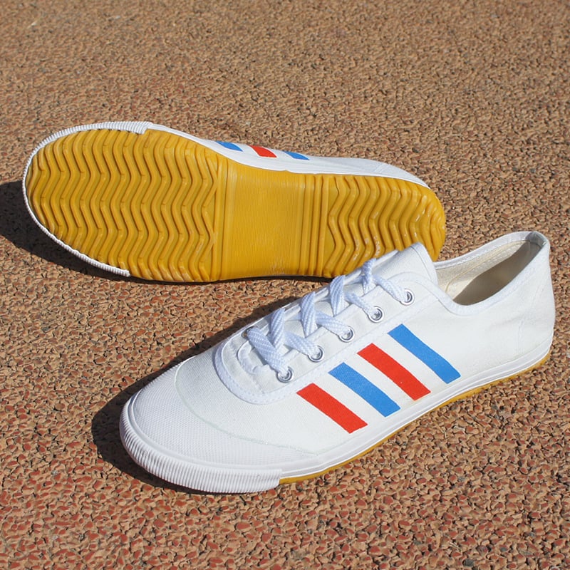 Παπούτσια εσωτερικού γυμναστηρίου, αντιολισθητικά, με κορδόνια εμπρός, σόλα από τένοντα βοείου, χαμηλό άνω μέρος