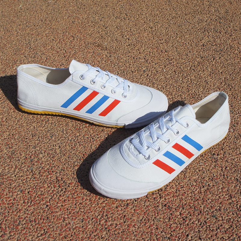 Παπούτσια εσωτερικού γυμναστηρίου, αντιολισθητικά, με κορδόνια εμπρός, σόλα από τένοντα βοείου, χαμηλό άνω μέρος