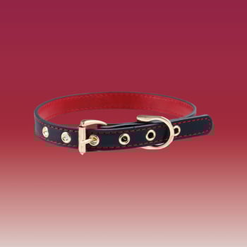 Choker колие An xuan, PU материал, оригинален дизайн, обиколка 31–40 см, висулка от сплав