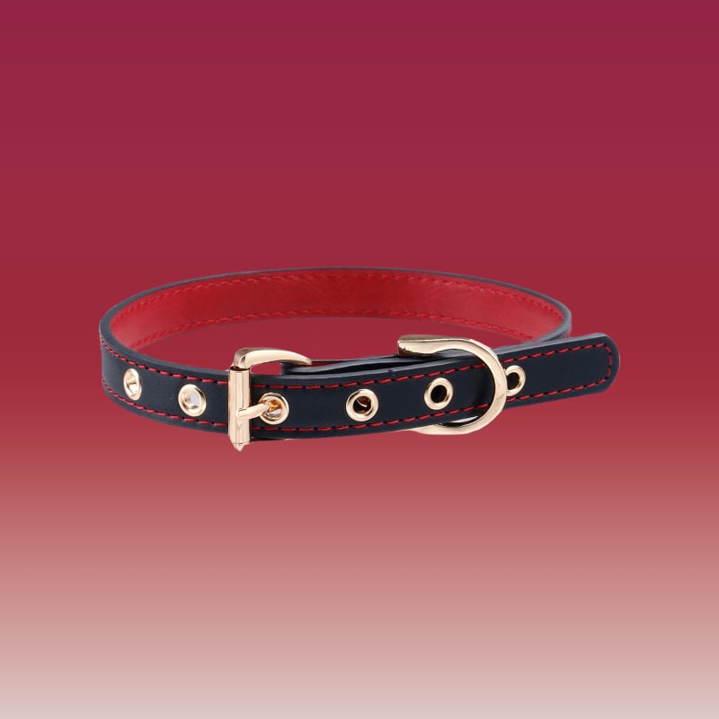 Choker колие An xuan, PU материал, оригинален дизайн, обиколка 31–40 см, висулка от сплав