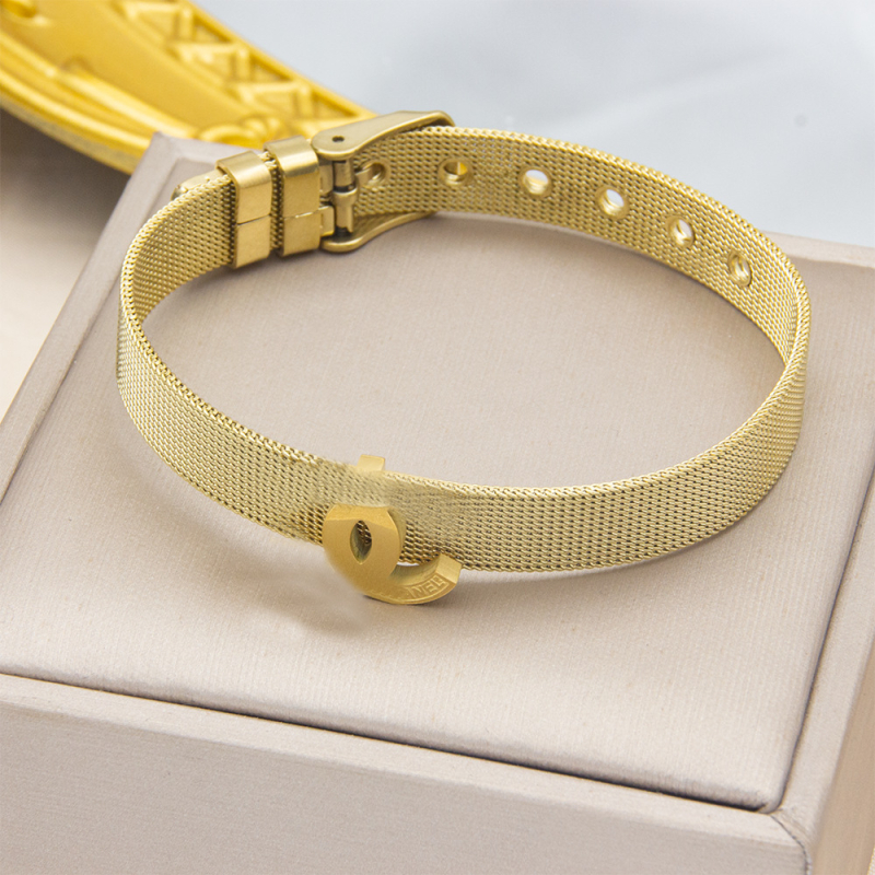 Brățară din oțel de titan - Unisex, geometrică, împletită, curea plasă, placare electroplată, bijuterie decorativă