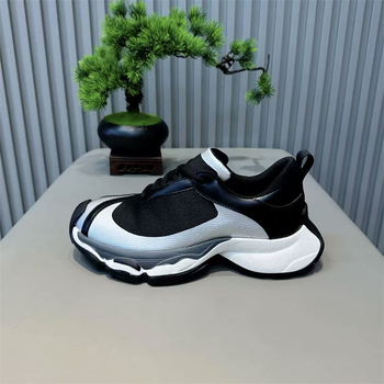Muške tenisice tip dad shoes, prozračni mrežasti gornji dio, vezanje, sve sezone, niski potplat 1–3 cm, potplat od gume-pjene
