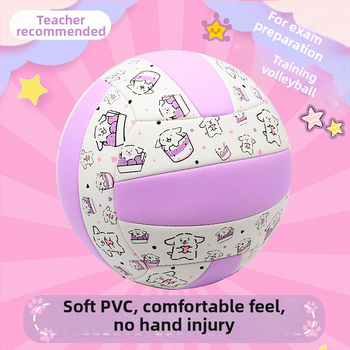Vnútorná tréningová volejbalová lopta z hovädzej kože, s možnosťou personalizácie; tlač loga nie je možná