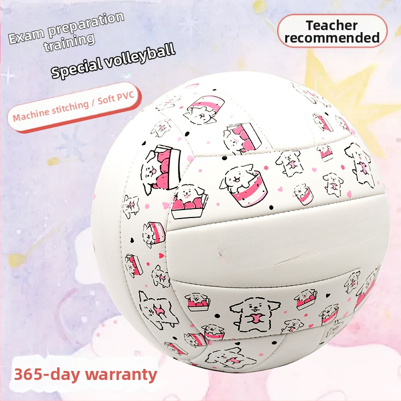 Vnútorná tréningová volejbalová lopta z hovädzej kože, s možnosťou personalizácie; tlač loga nie je možná