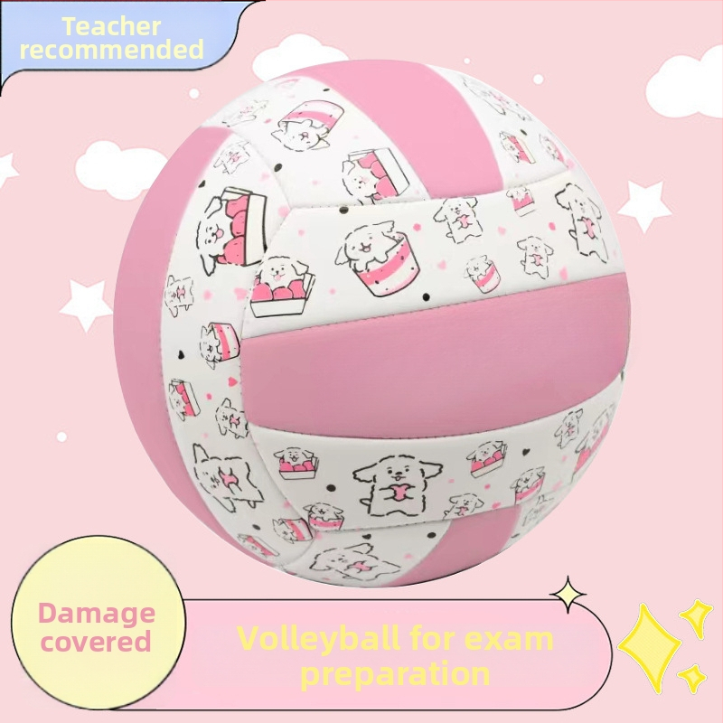 Vnútorná tréningová volejbalová lopta z hovädzej kože, s možnosťou personalizácie; tlač loga nie je možná