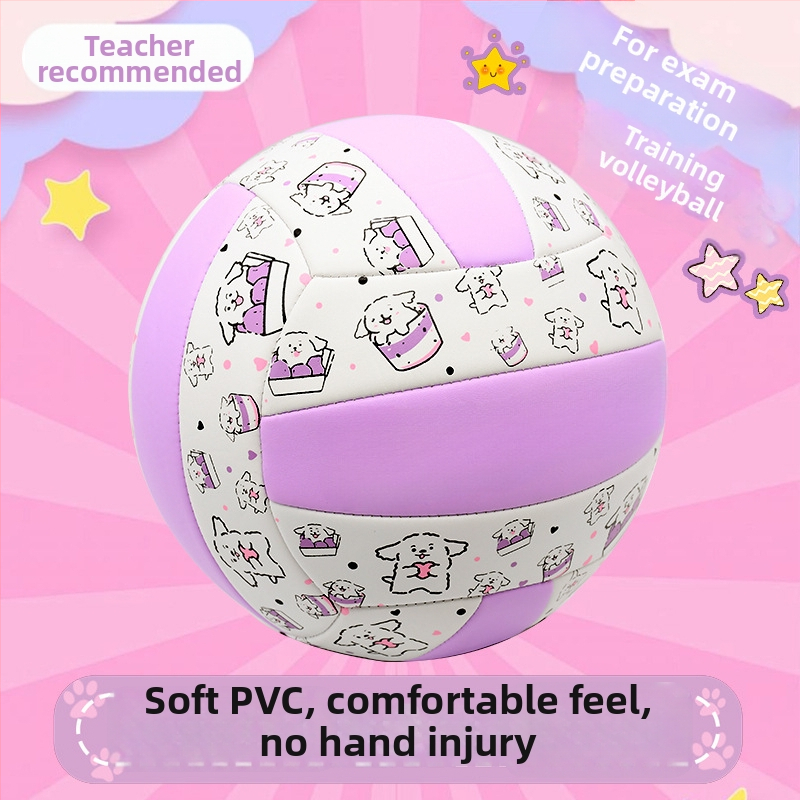 Vnútorná tréningová volejbalová lopta z hovädzej kože, s možnosťou personalizácie; tlač loga nie je možná