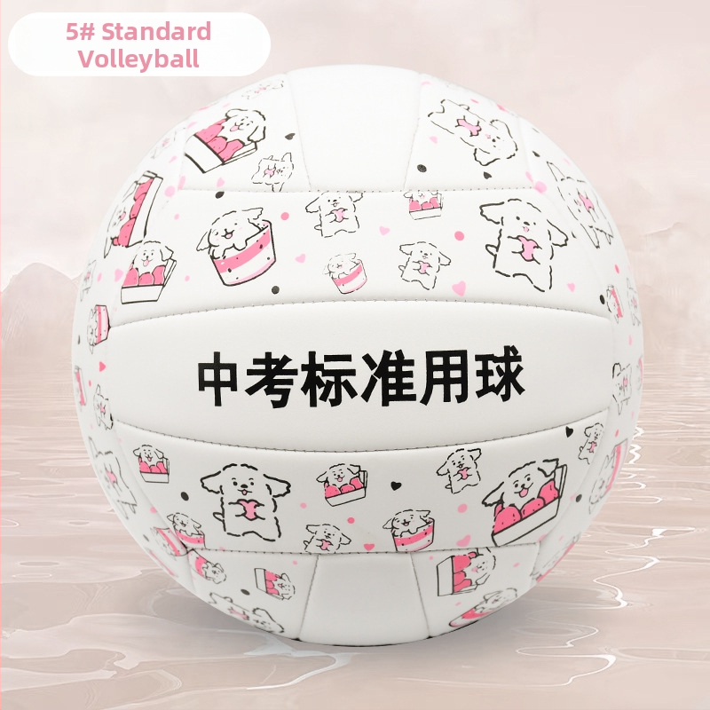 Vnútorná tréningová volejbalová lopta z hovädzej kože, s možnosťou personalizácie; tlač loga nie je možná