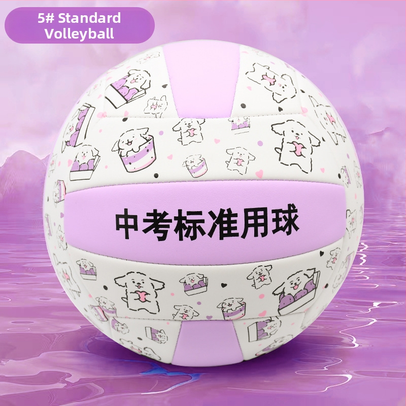 Vnútorná tréningová volejbalová lopta z hovädzej kože, s možnosťou personalizácie; tlač loga nie je možná