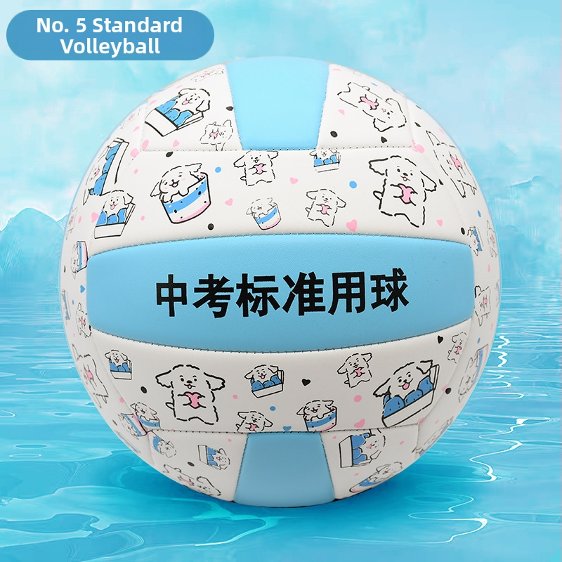 Vnútorná tréningová volejbalová lopta z hovädzej kože, s možnosťou personalizácie; tlač loga nie je možná