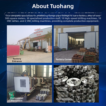 Szénacél horizontális fláncső-csatlakozók hegesztett kapcsolattal, jó rugalmasság, magas nyomásállóság, Tuoyang modell 50-300