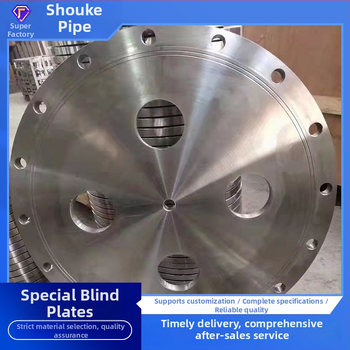 Slepá platňa, uhlová oceľ a nerezová oceľ (304/316/316L), horizontálna verzia, závitové pripojenie, DN15–DN1200, vysoká tlaková odolnosť