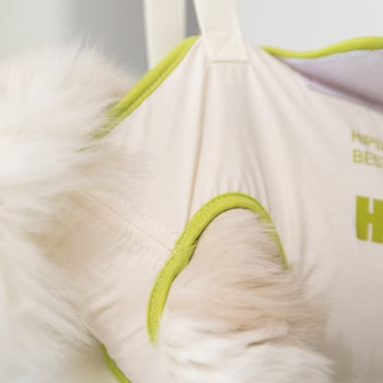 Αιώρα γάτας με αδιάβροχο Taslan και ύφασμα περιμέτρου, για γάτες