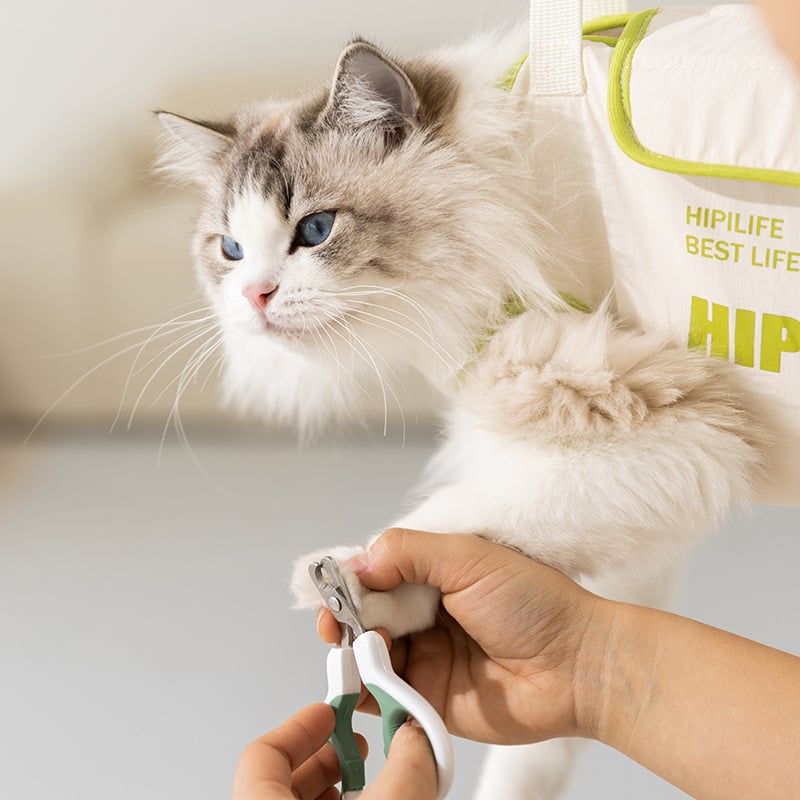 Αιώρα γάτας με αδιάβροχο Taslan και ύφασμα περιμέτρου, για γάτες