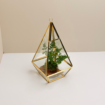 Seră geometrică din sticlă, cu patru laturi, în formă de diamant, en-gros, pentru suculente, mușchi și peisaje în miniatură; cutii simple pentru flori, din conservă.