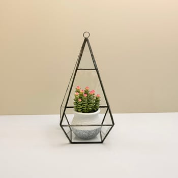 Seră geometrică din sticlă, cu patru laturi, în formă de diamant, en-gros, pentru suculente, mușchi și peisaje în miniatură; cutii simple pentru flori, din conservă.