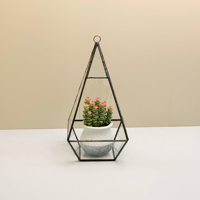 Seră geometrică din sticlă, cu patru laturi, în formă de diamant, en-gros, pentru suculente, mușchi și peisaje în miniatură; cutii simple pentru flori, din conservă.