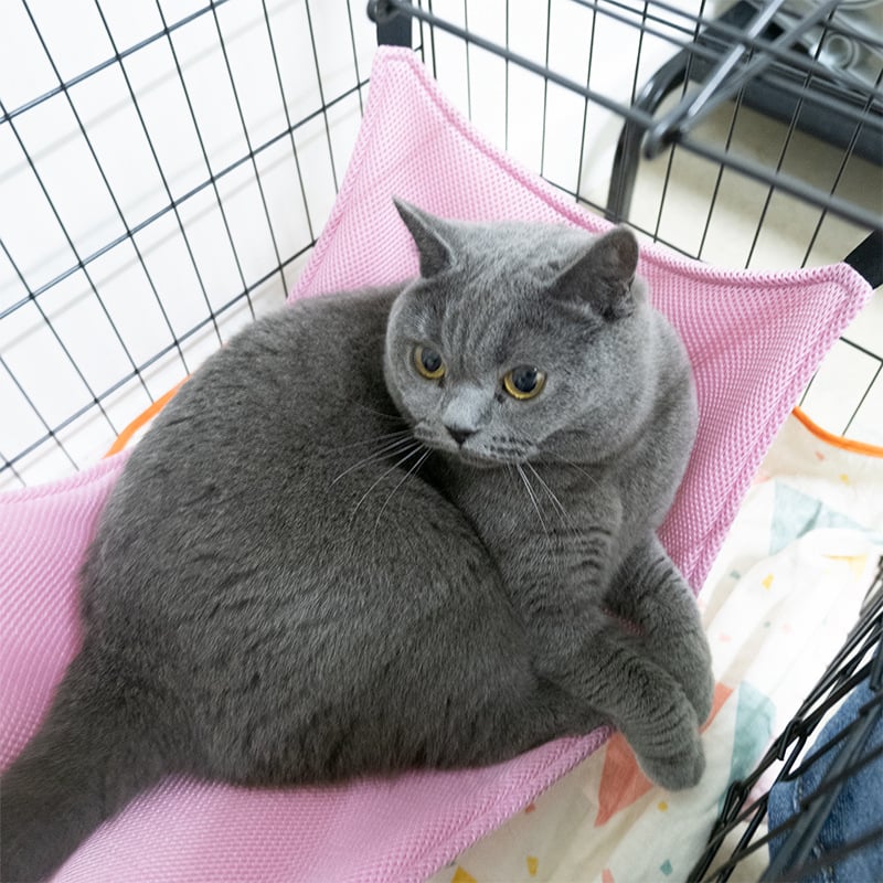 Котешко хамак-легло - дишаща мрежа, окачен дизайн, плат