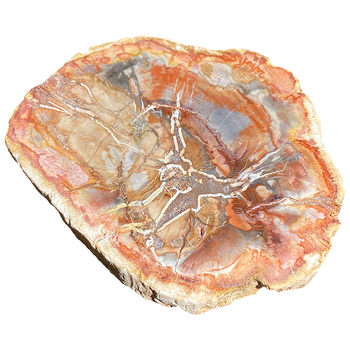 Felie de lemn fosilizat – Piatră decorativă geometrică, Brand Garden Crystal Stone, Ambalaj PP în pungă, Bază pentru ceai