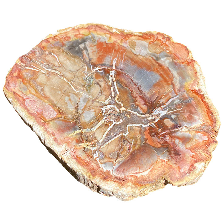 Felie de lemn fosilizat – Piatră decorativă geometrică, Brand Garden Crystal Stone, Ambalaj PP în pungă, Bază pentru ceai