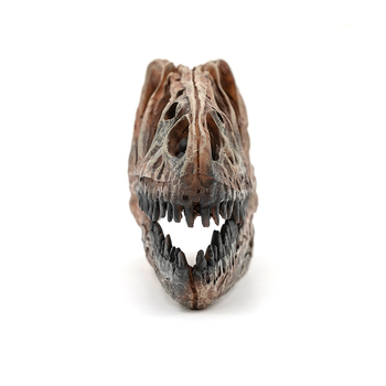 Skulptura lubanje Tyrannosaura od smole – sintetička smola, Yu Hao, umjetnički predmeti od smole