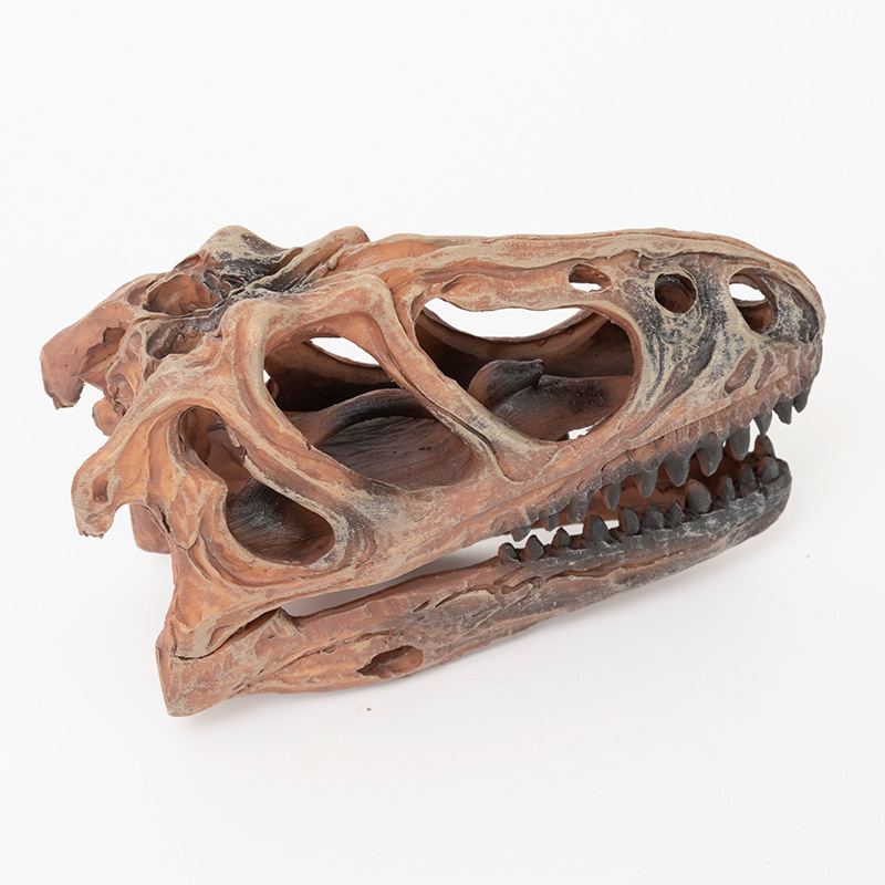 Skulptura lubanje Tyrannosaura od smole – sintetička smola, Yu Hao, umjetnički predmeti od smole