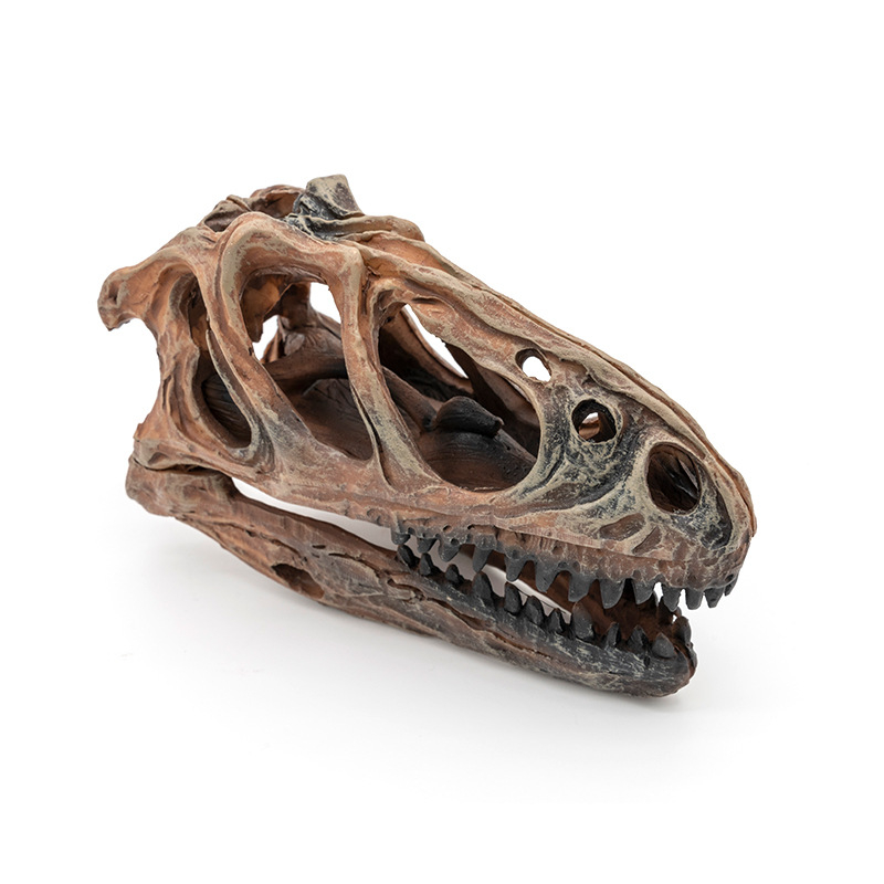 Skulptura lubanje Tyrannosaura od smole – sintetička smola, Yu Hao, umjetnički predmeti od smole