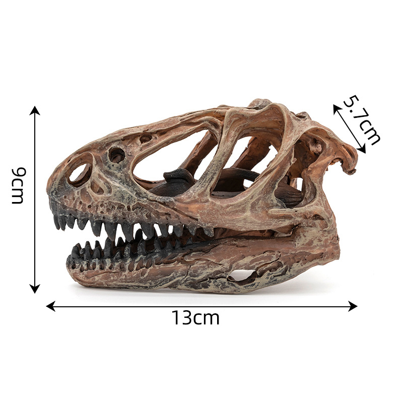 Skulptura lubanje Tyrannosaura od smole – sintetička smola, Yu Hao, umjetnički predmeti od smole