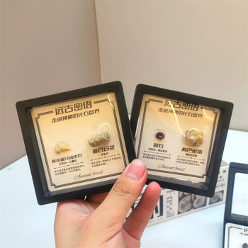 Δείγμα απολιθώματος τριλοβίτη, σε κουτί, εκπαιδευτικό διακοσμητικό, υλικό πλαστικό και ρητίνη, παλαιοντολογικό απολίθωμα