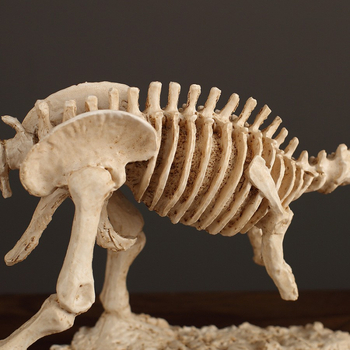 Wei xun συνθετική ρητίνη — απολιθωμένος σκελετός Tyrannosaurus rex για έκθεση, μοντέρνος μινιμαλιστικός σχεδιασμός, διακοσμητικό αντικείμενο