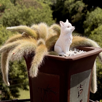 Lisica bonsai posuda dekorativna figurica, viseća vrtna dekoracija (Materijal: smola; Stil: neoklasičan; Izrada: polu‑ručna)