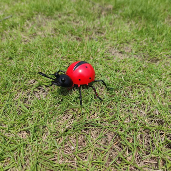 Kovani željezni ukras s motivom ladybug za dom i vrt – Hua Jie, materijal: željezo, stil: moderni minimalistizam, proces: drugi